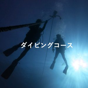 ダイビングコース