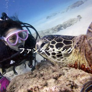 ファンダイビング